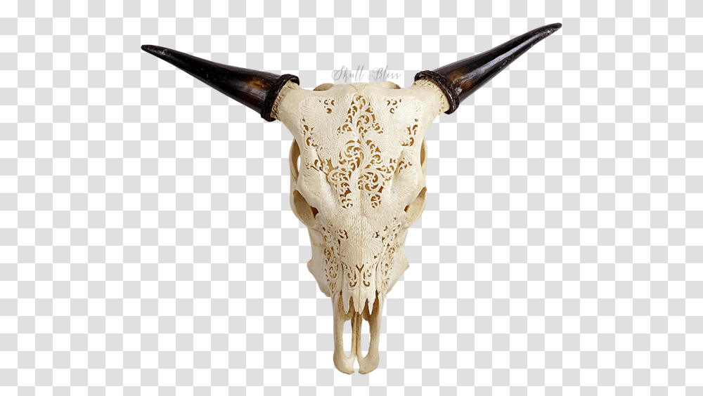 Cow Skull Horn, Longhorn, Cattle, Mammal, Animal Transparent Png