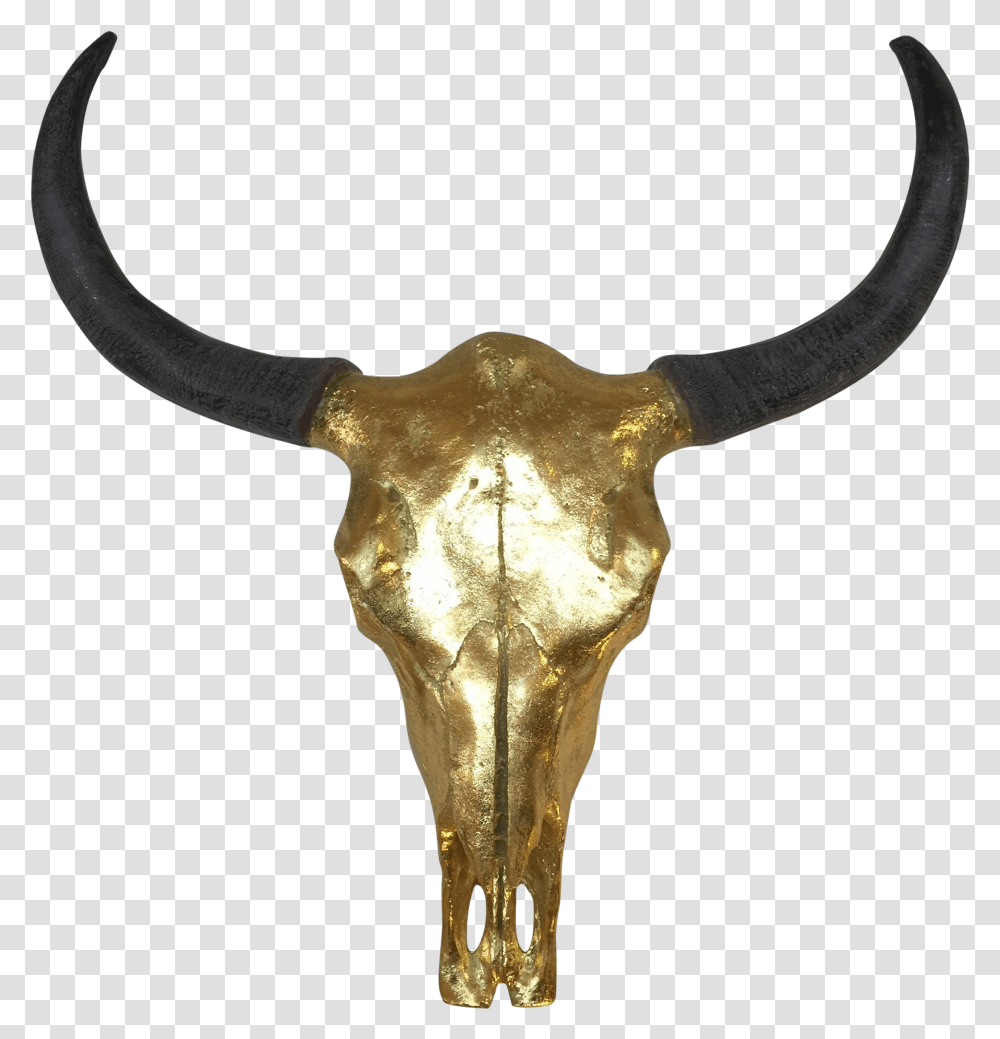 Cow Skull, Longhorn, Cattle, Mammal, Animal Transparent Png