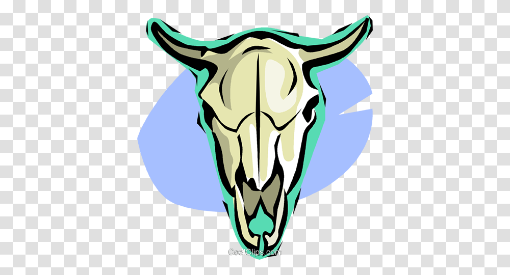 Cow Skull Royalty Free Vector Clip Art Illustration, Mammal, Animal, Wildlife Transparent Png