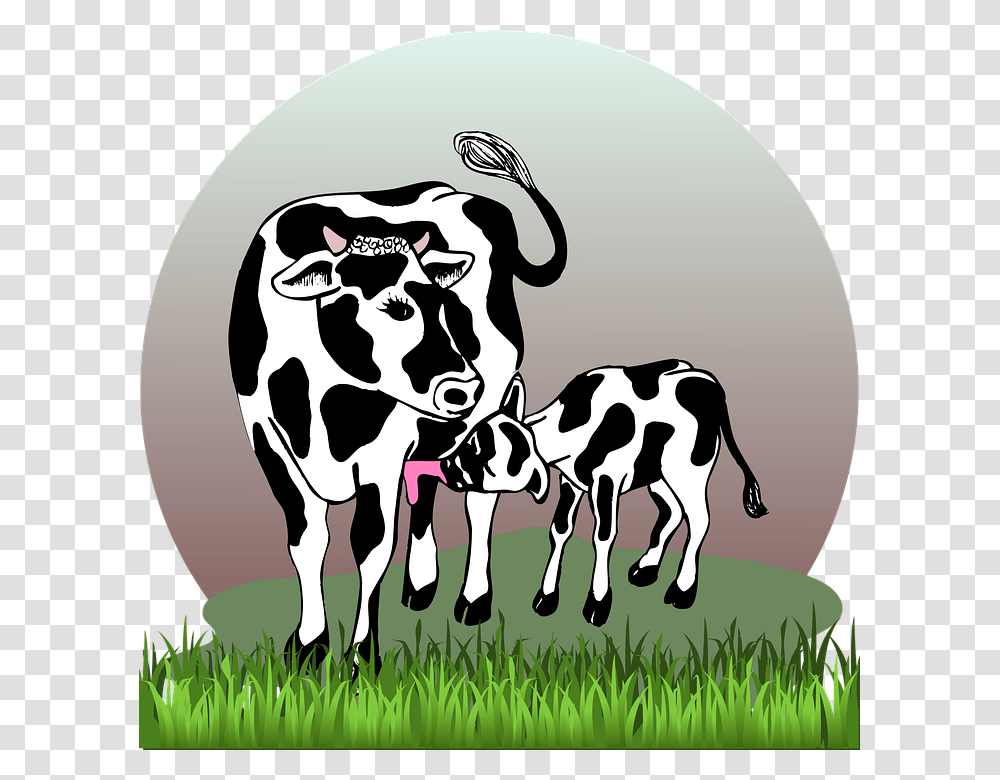 Cow With Calf Cow Calf Cattle Farm Agriculture Cow With Calf, Mammal, Animal, Dairy Cow Transparent Png