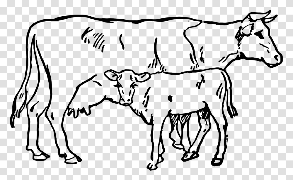 Cowandcalf Inc, Halo Transparent Png