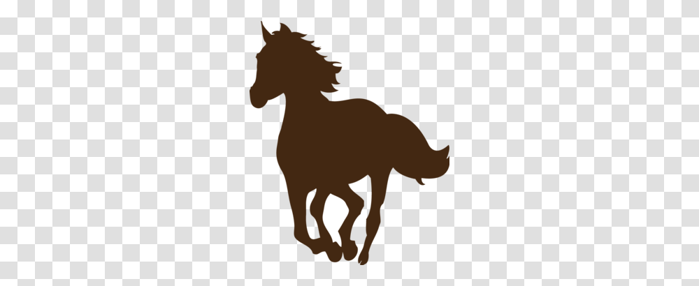 Cowboy, Animal, Mammal, Camel Transparent Png