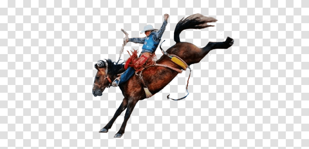 Cowboy Cowboy, Rodeo, Person, Human, Horse Transparent Png