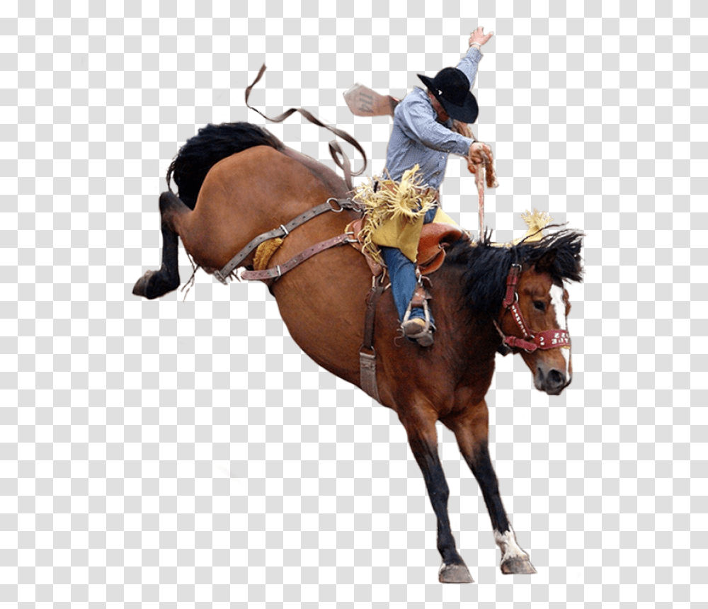 Cowboy Rodeo, Horse, Mammal, Animal, Person Transparent Png