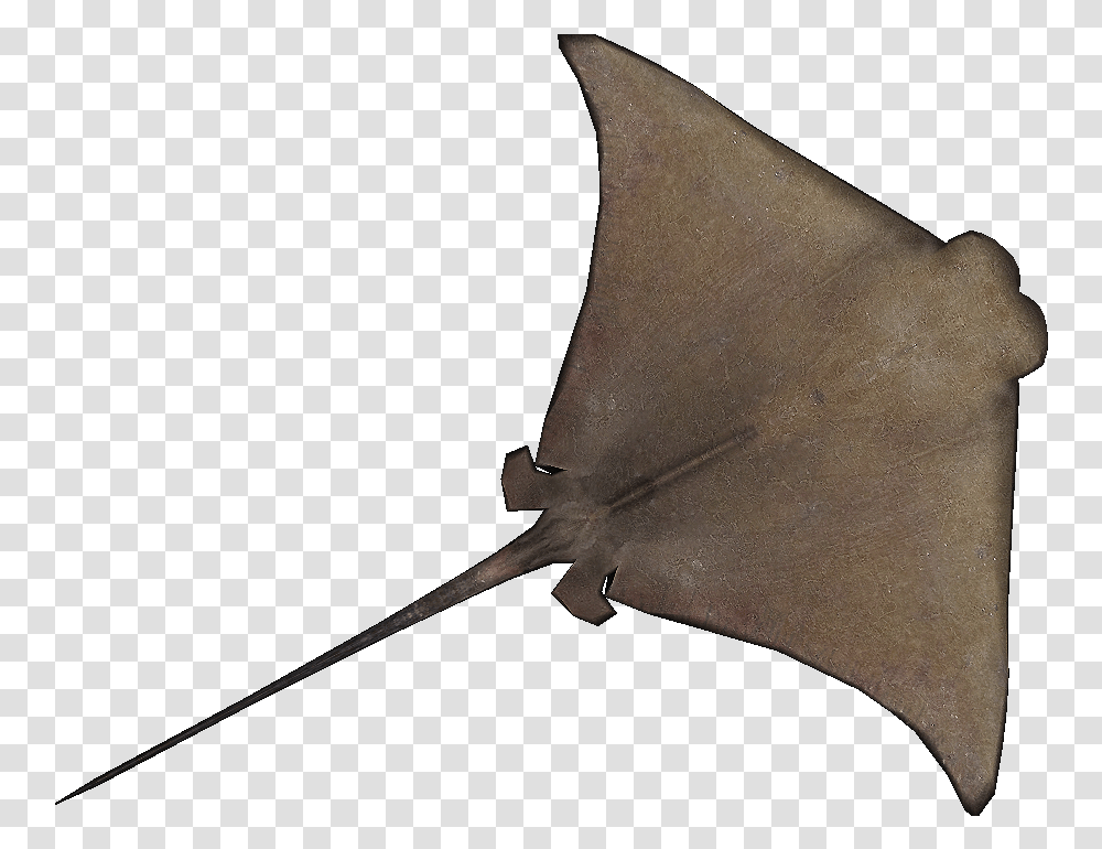 Cownose Ray Natural Design Zt2 Cownose Ray Clipart, Car, Vehicle, Transportation, Automobile Transparent Png