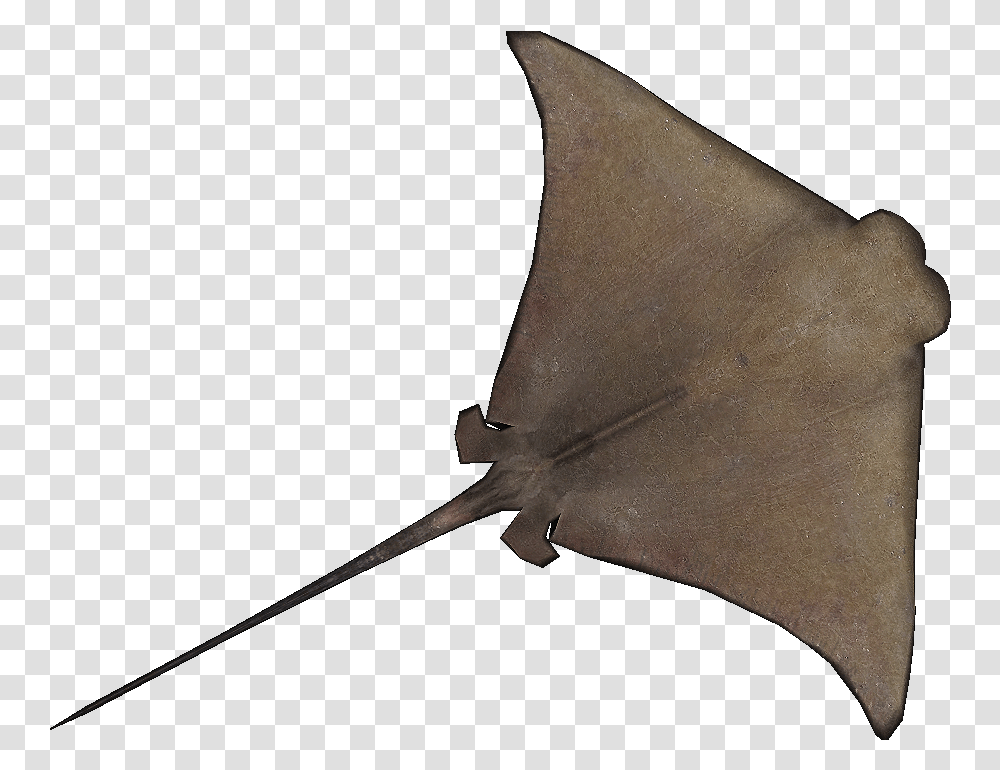 Cownose Ray Stingray Clipart, Car, Vehicle, Transportation, Automobile Transparent Png