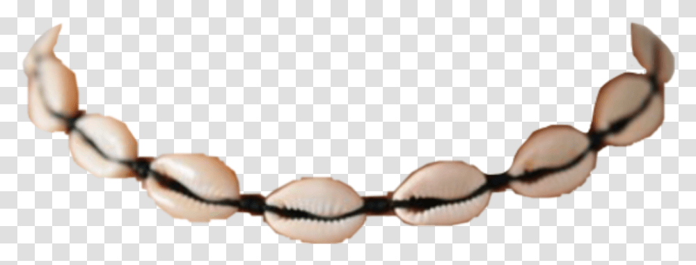 Cowrieshell Shell Necklace Shellnecklace Freetoedit Cowrie Shell Necklace, Teeth, Mouth, Lip, Person Transparent Png