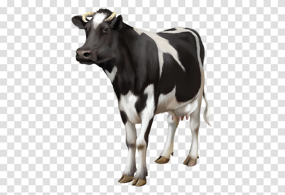 Cows, Cattle, Mammal, Animal, Dairy Cow Transparent Png