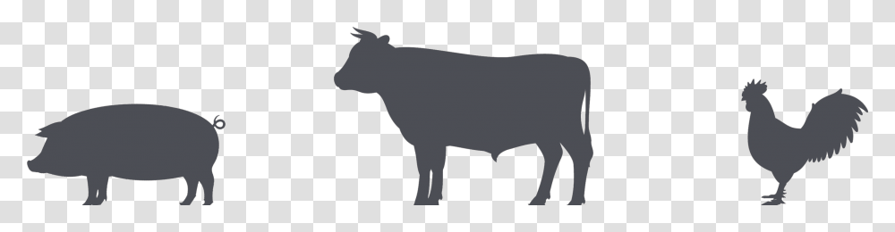 Cows Clip Black And White Chicken Huge Freebie Download Pig Cow Chicken Silhouette, Fowl, Bird, Animal, Bull Transparent Png