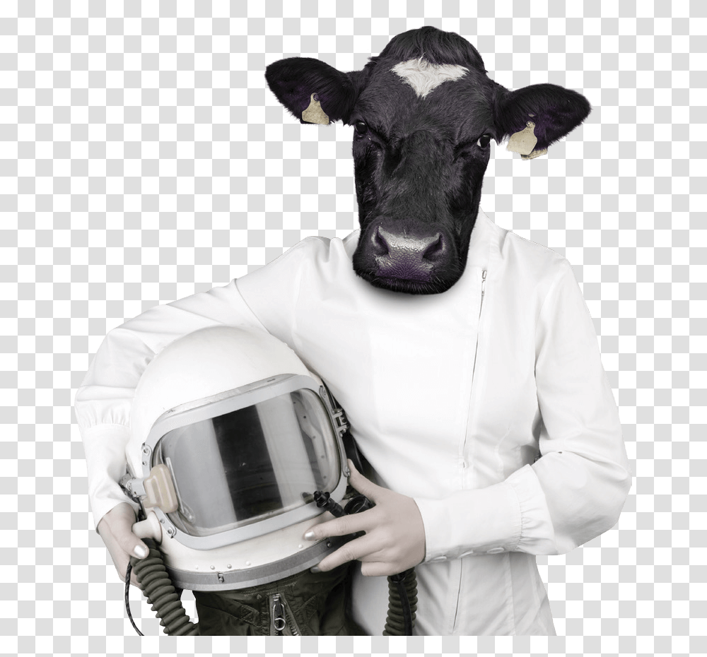 Cows, Helmet, Apparel, Person Transparent Png