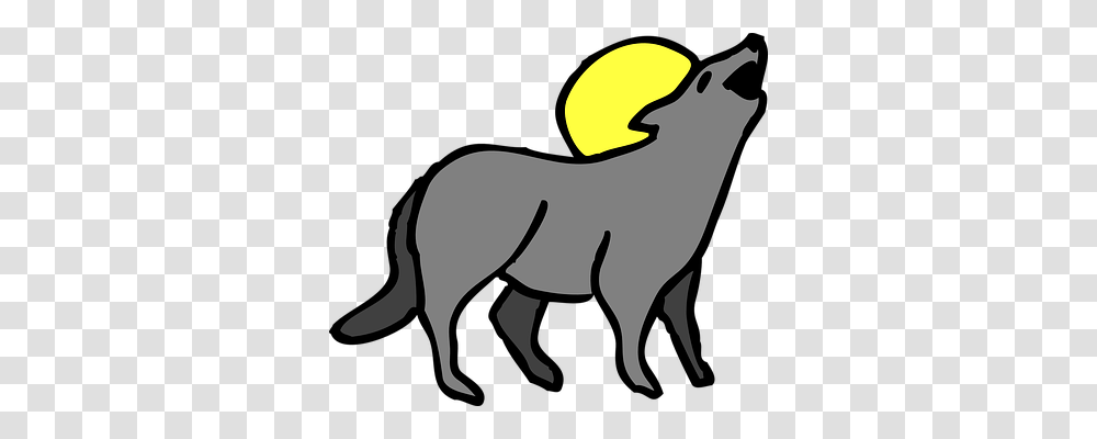 Coyote Animals, Mammal, Nature, Donkey Transparent Png