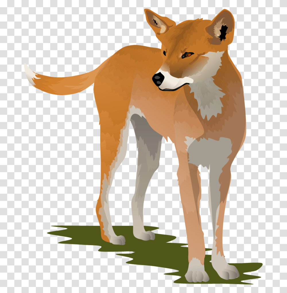 Coyote Clipart Dingo Dingo Clipart, Mammal, Animal, Wildlife, Fox Transparent Png