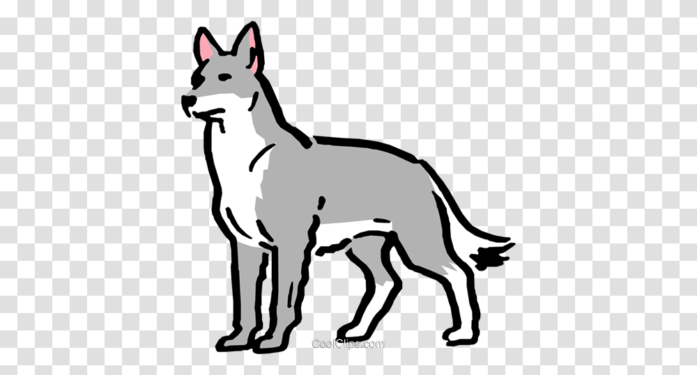 Coyote Clipart, Mammal, Animal, Antelope, Horse Transparent Png