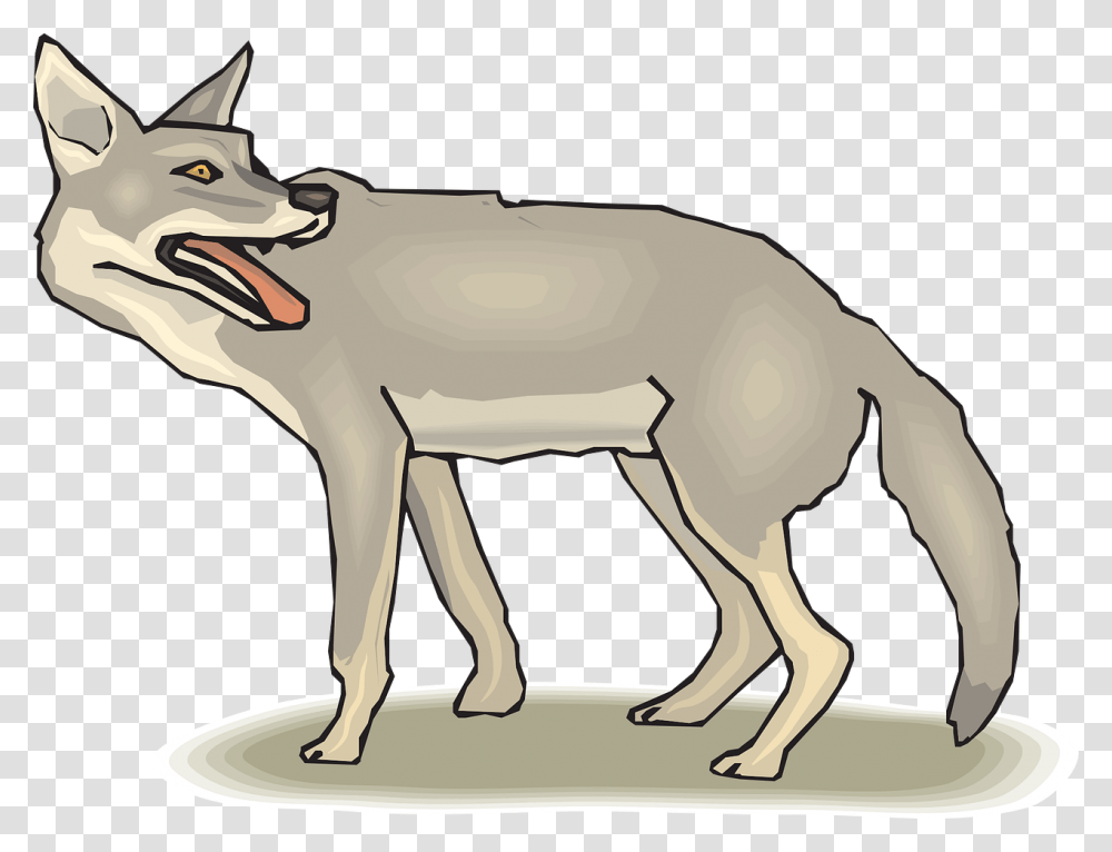 Coyote Clipart, Mammal, Animal, Wildlife, Horse Transparent Png