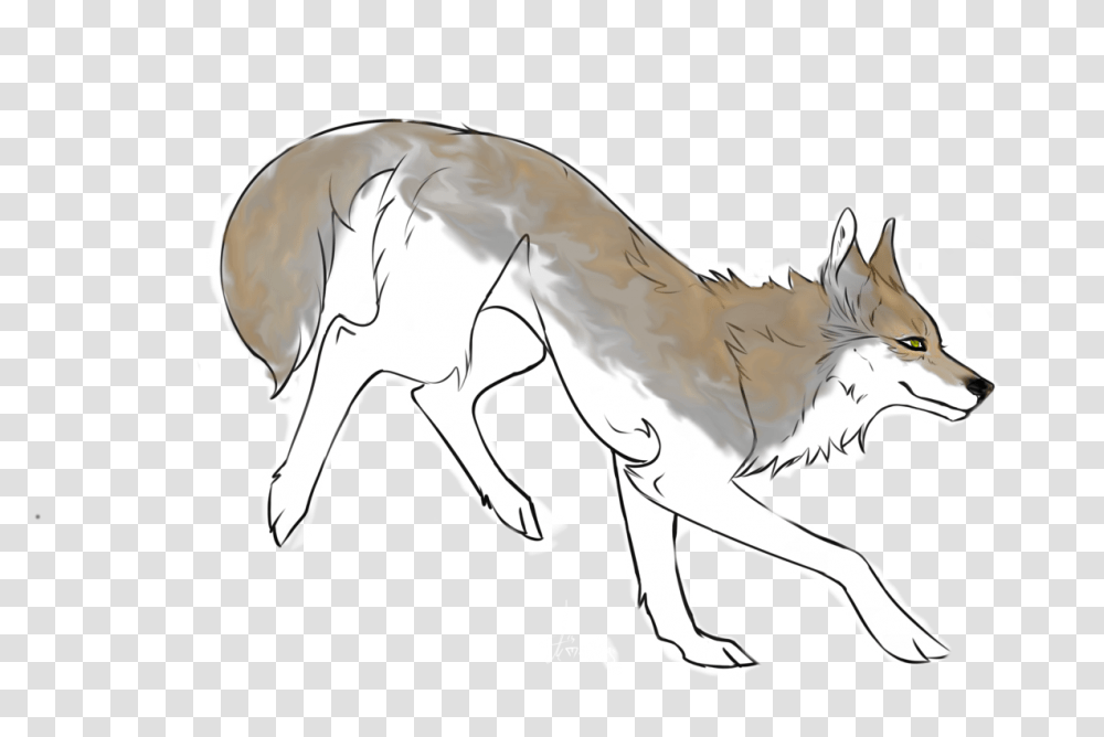 Coyote Coyote, Horse, Mammal, Animal Transparent Png
