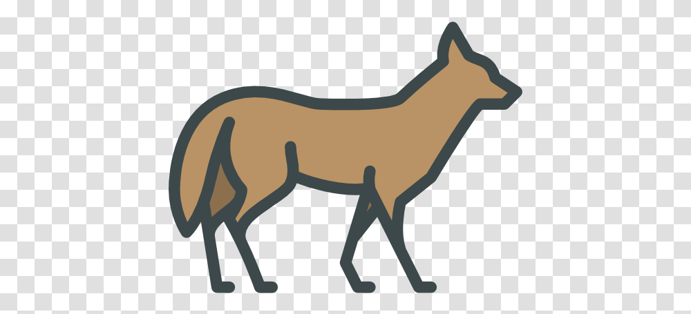 Coyote Free Animals Icons Coyote Icon, Mammal, Horse, Deer, Wildlife Transparent Png