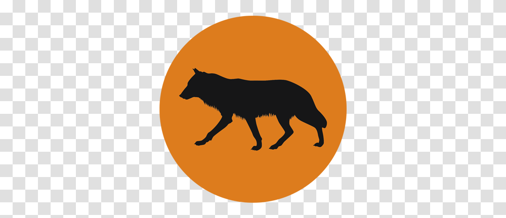 Coyote Icon Animal Ark Coyote, Mammal, Wildlife, Wolf, Horse Transparent Png