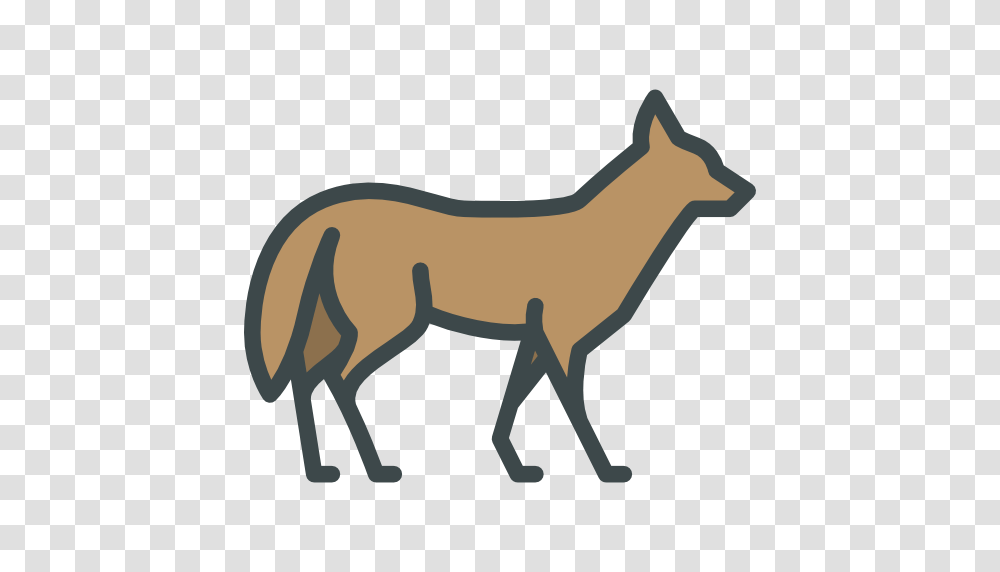 Coyote, Mammal, Animal, Horse, Deer Transparent Png