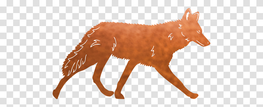 Coyote Red Fox, Bird, Animal, Mammal, Wildlife Transparent Png