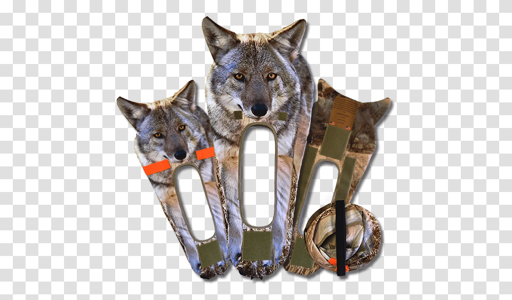 Coyote Stalker Stack Grey Fox, Mammal, Animal, Cat, Pet Transparent Png