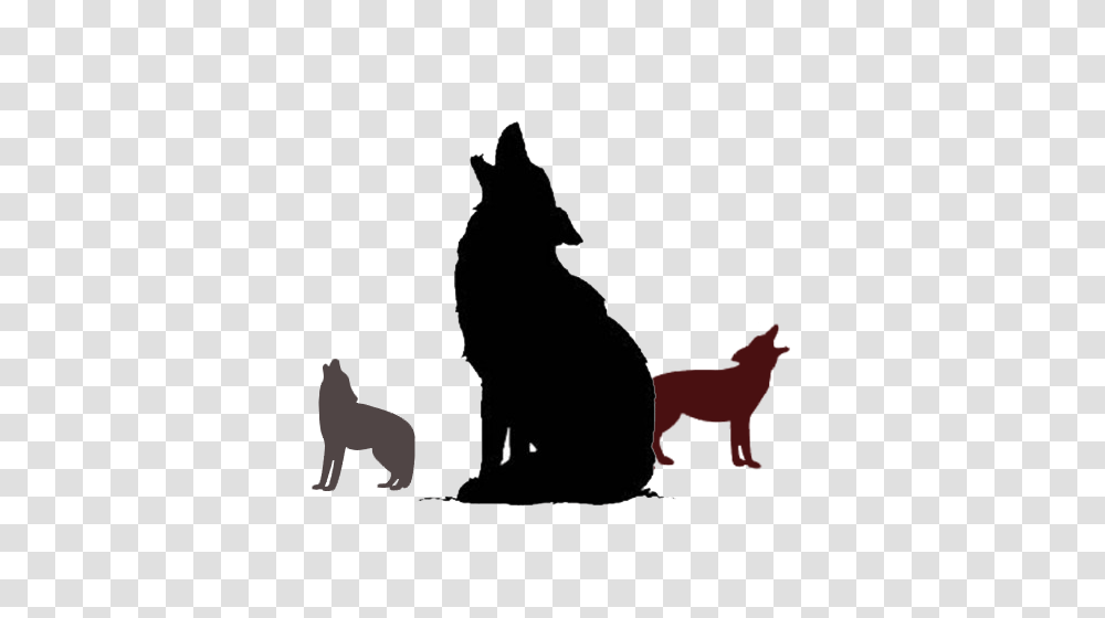 Coyote The Trickster Joshua Tree Visitors Guide, Silhouette, Dog, Pet, Canine Transparent Png