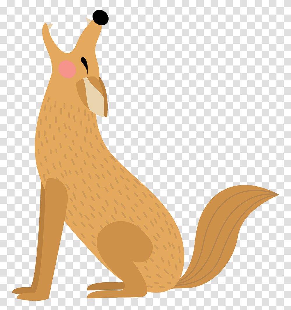 Coyote - Animal Care And Control Cartoon Coyote, Kangaroo, Mammal, Wallaby, Banana Transparent Png