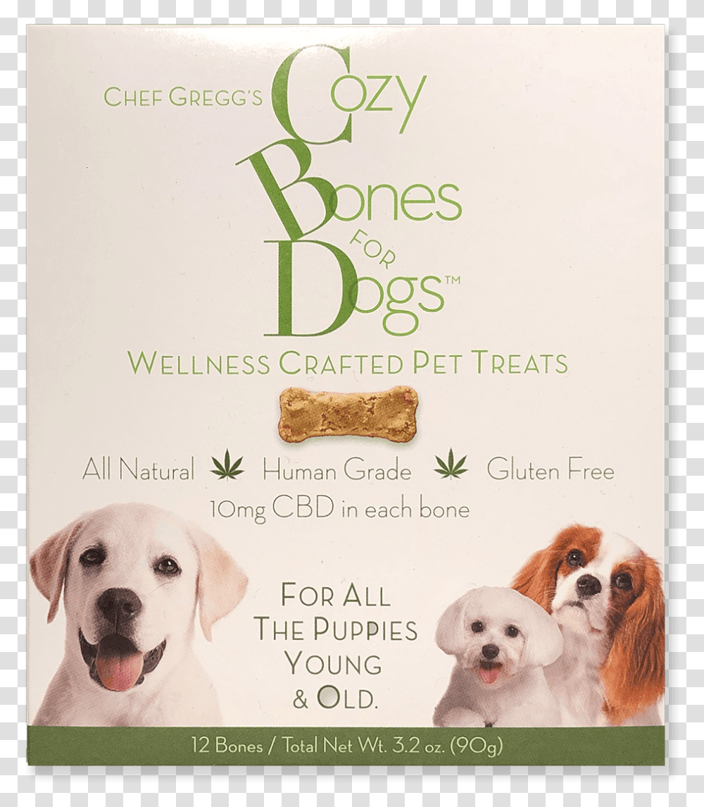 Cozy Bones For Dogs Labrador Retriever, Cork, Pet, Canine, Animal Transparent Png