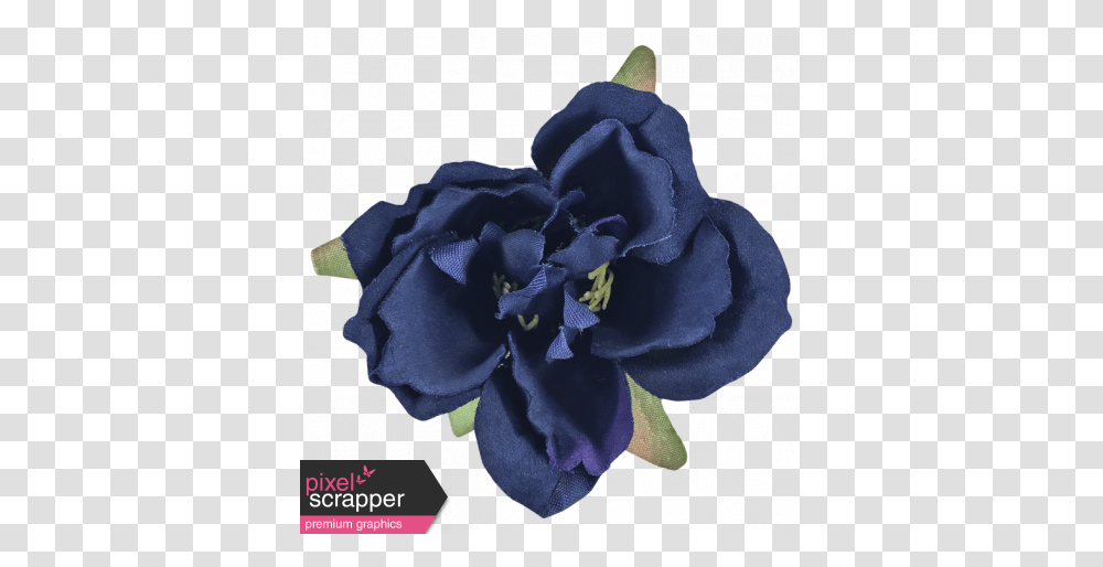 Cozy Kitchen Navy Blue Silk Flower Graphic By Violet Navy Blue Silk Flowers, Plant, Rose, Blossom, Geranium Transparent Png