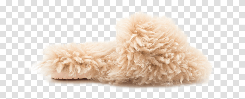 Cozy Slipper By Inuikii Plush, Rug, Pet, Animal, Canine Transparent Png