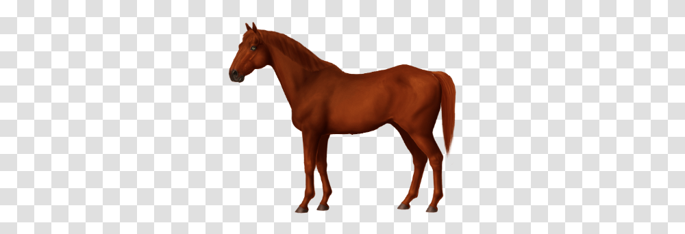 Cp Red Lightning • Horse World Online Appaloosa, Colt Horse, Mammal, Animal, Foal Transparent Png