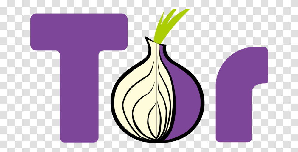 Cpanel Tor Hosting Solutions With Tor Browser Logo, Plant, Food, Vegetable, Fruit Transparent Png