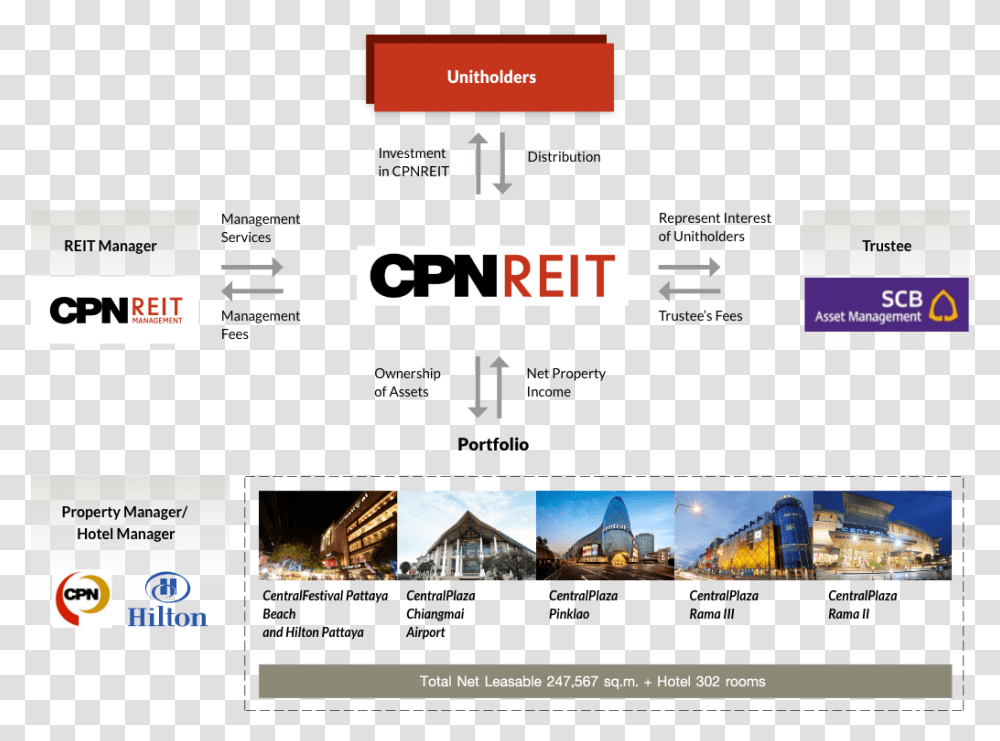 Cpn, Electronics, Monitor, Screen Transparent Png