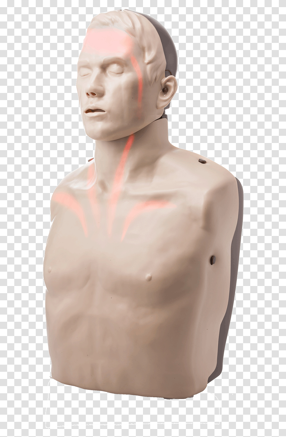 Cpr Manikin With Led Light Feedback Red Cross Store Cpr Dummy, Shoulder, Neck, Clothing, Apparel Transparent Png