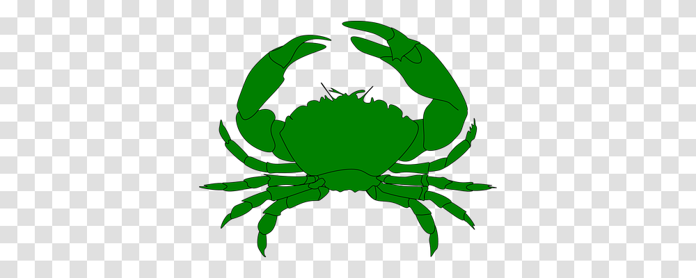 Crab Holiday, Sea Life, Animal, Seafood Transparent Png