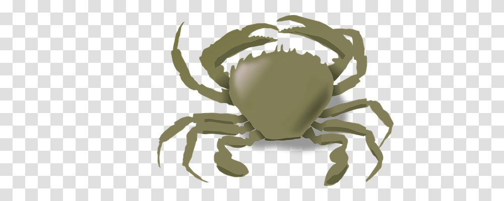 Crab Holiday, Seafood, Sea Life, Animal Transparent Png