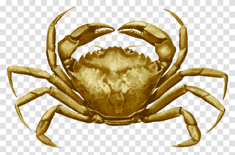 Crab 4 Clip Arts Cancer Pagurus, Seafood, Sea Life, Animal, Fungus Transparent Png