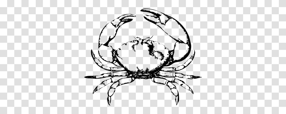 Crab Technology, Outdoors, Gray, Final Fantasy Transparent Png