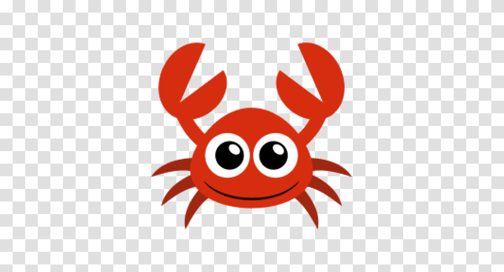 Crab, Animal, Sea Life, Photography, Tick Transparent Png