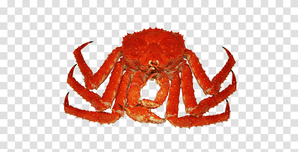 Crab, Animals, Seafood, Lobster, Sea Life Transparent Png