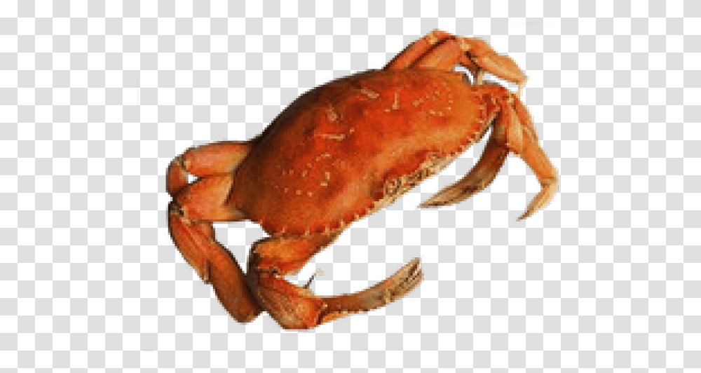 Crab Background, Food, Sea Life, Animal, Seafood Transparent Png
