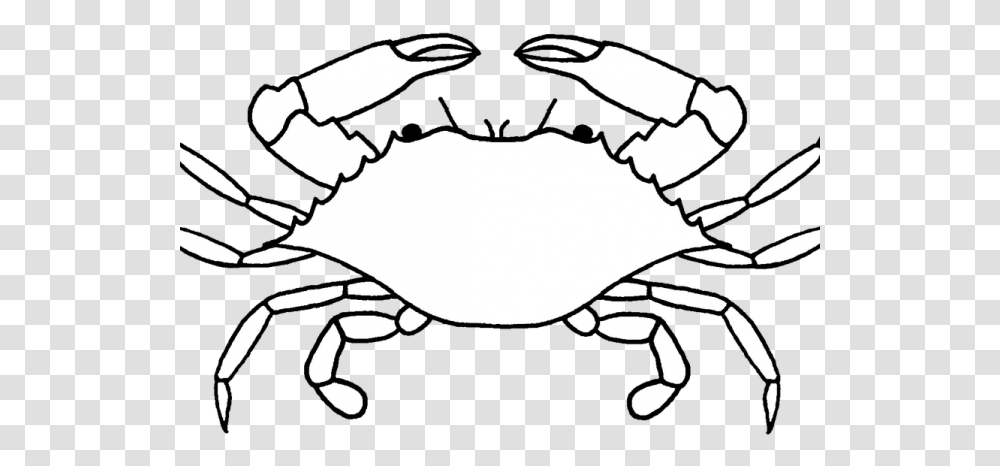 Crab Black And White, Seafood, Sea Life, Animal, Person Transparent Png