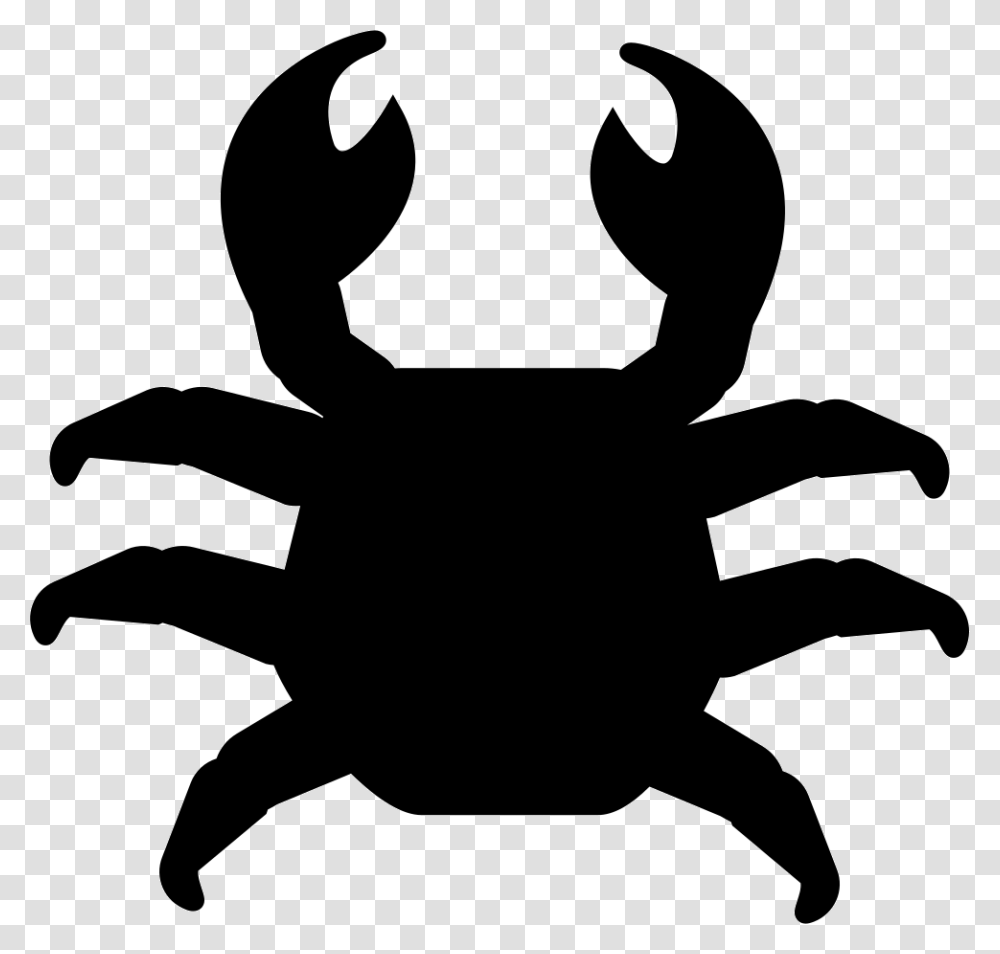 Crab Cake Vector Graphics Computer Icons Illustration Top View Of Animals, Seafood, Sea Life, Person, Human Transparent Png
