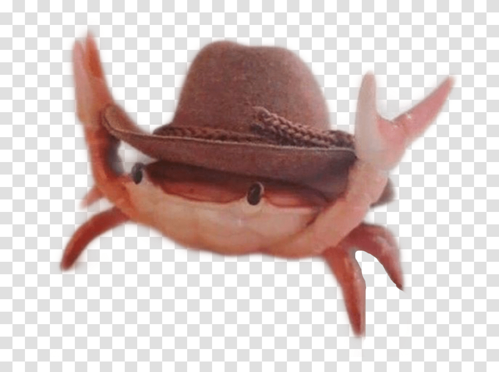 Crab California Summer Meme Memes Dank Crabs Crab With Cowboy Hat, Apparel, Person, Human Transparent Png