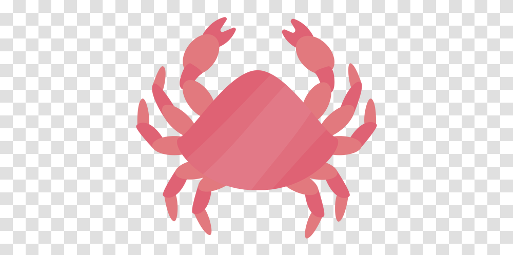 Crab Claw Flat Cancer, Sea Life, Animal, Seafood, Tick Transparent Png