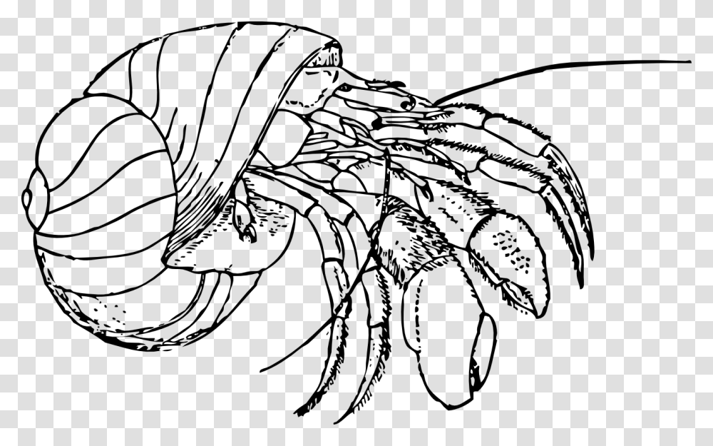 Crab Clipart Black And White, Animal, Invertebrate, Sea Life, Food Transparent Png