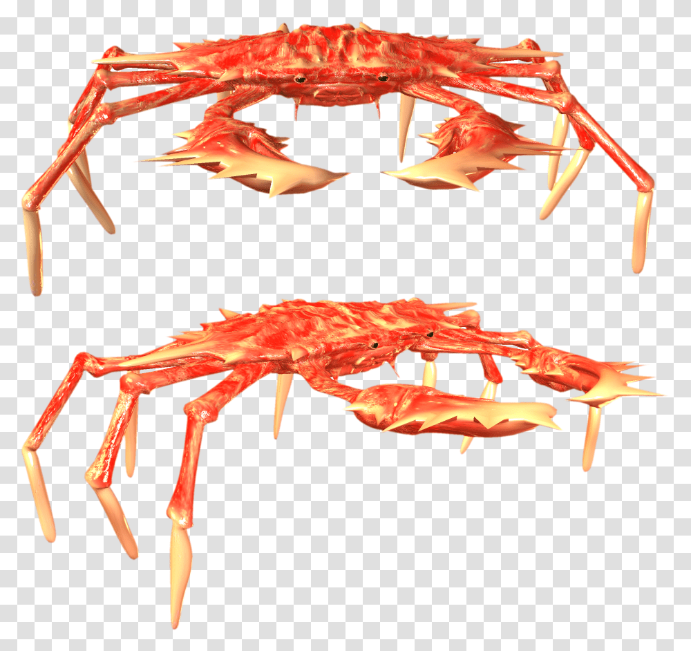 Crab Crabs, Seafood, Sea Life, Animal, Lobster Transparent Png