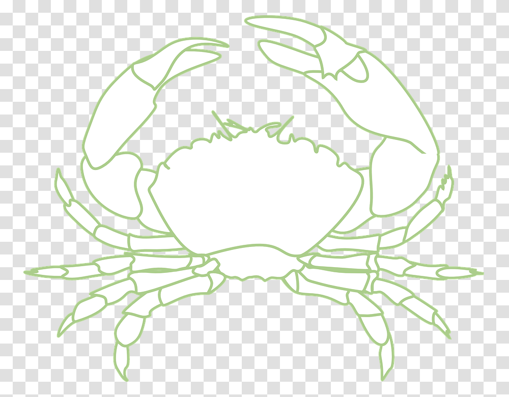 Crab Crustacean Sea Life Lobster Crayfish Crawfish Crab Black And White, Seafood, Animal, King Crab, Invertebrate Transparent Png