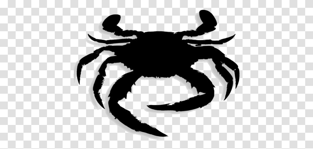 Crab Drawing Freshwater Crab, Seafood, Sea Life, Animal, King Crab Transparent Png