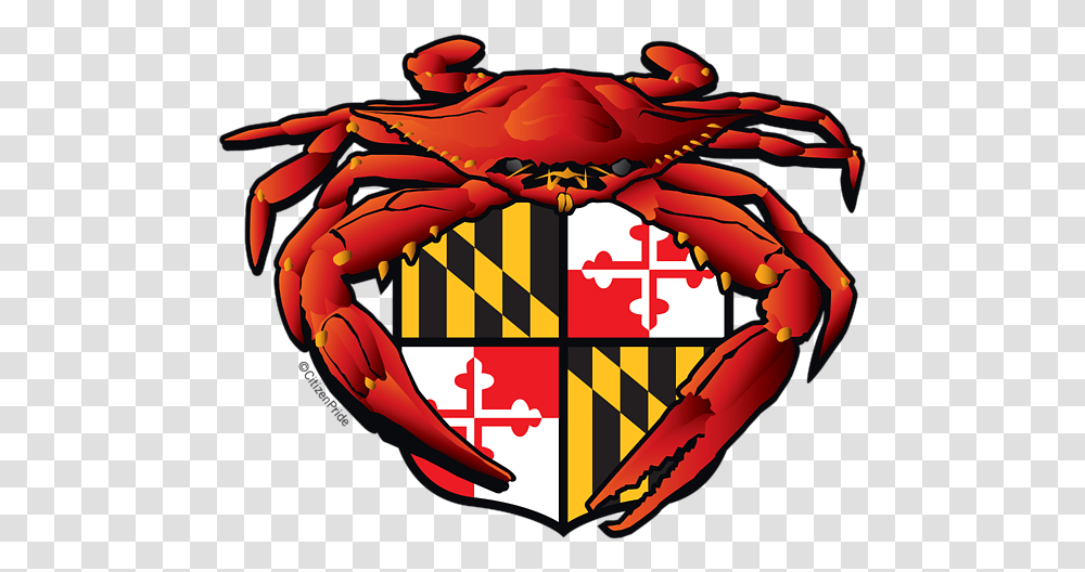 Crab Feast Maryland Flag Crest Shower Curtain Crab Maryland Flag, Seafood, Sea Life, Animal, Dynamite Transparent Png