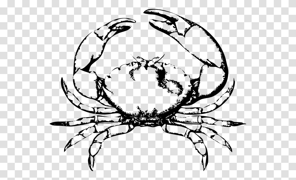 Crab Frames Illustrations Hd Black And White Crab, Food, Seafood, Sea Life, Animal Transparent Png
